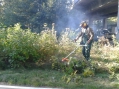 Bild 22